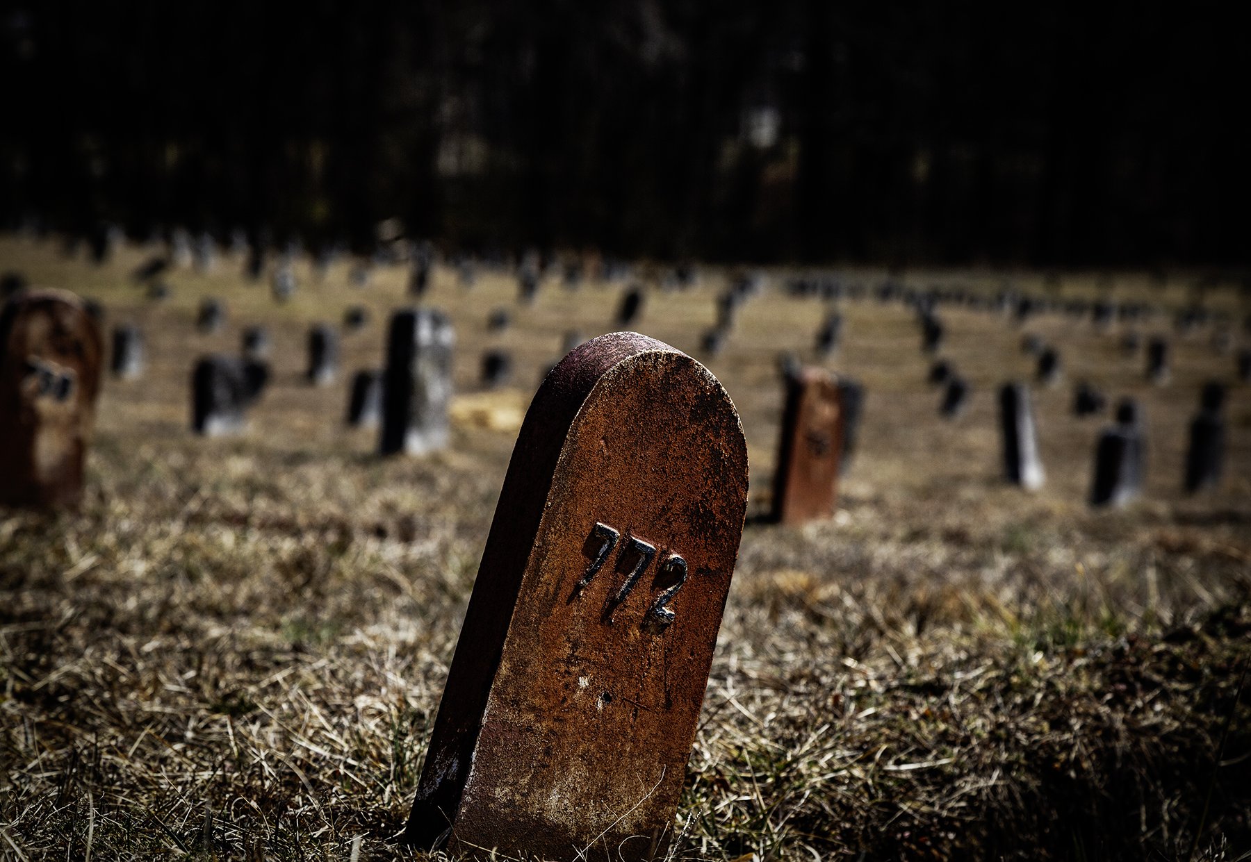 20240227 5DM31574 Marlboro Psychiatric Hospital grave 772 MWS C Cr V1.jpg