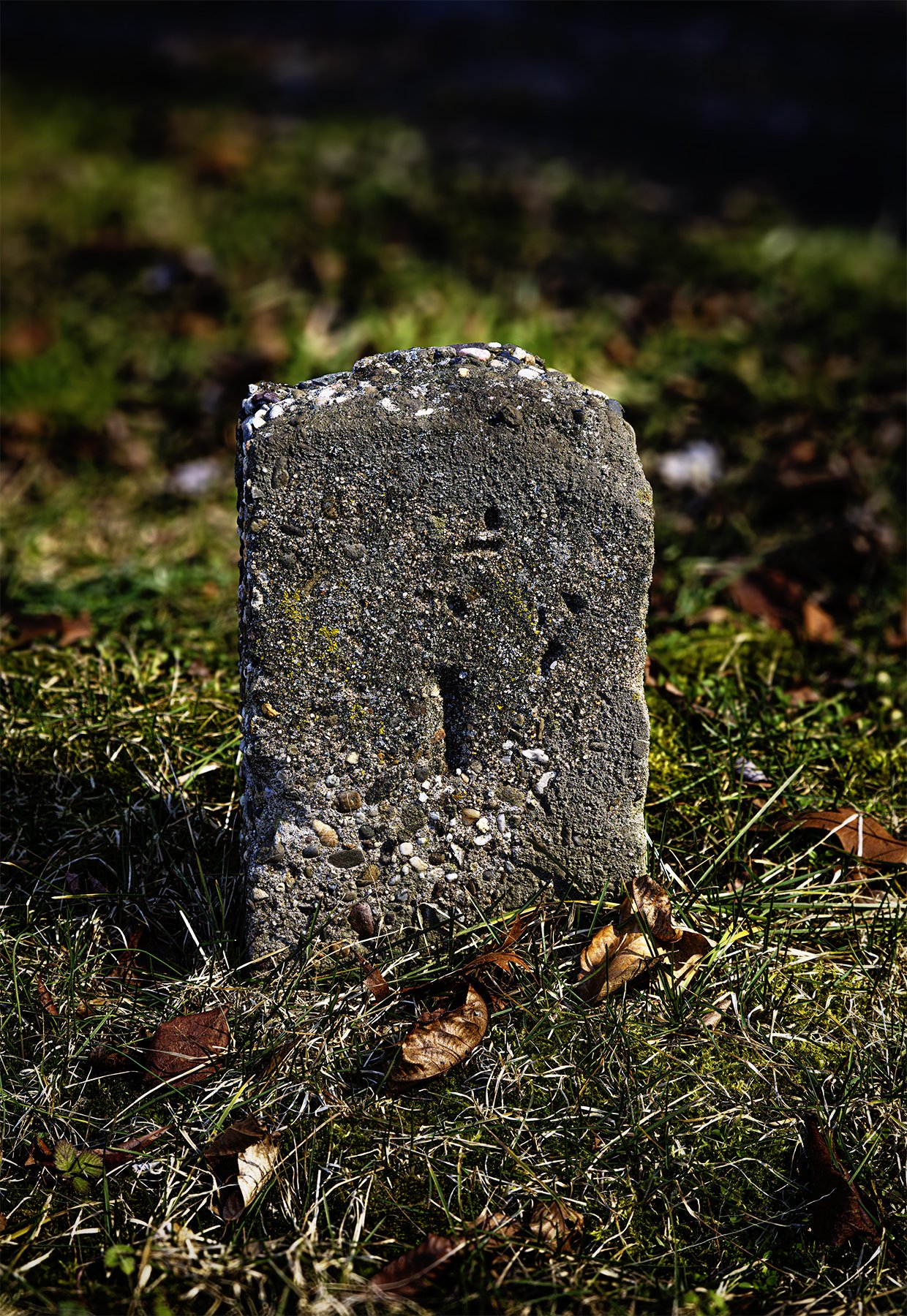 20240227 5DM31584 Marlboro Psychiatri Hospital 1st grave MWS C V1.jpg