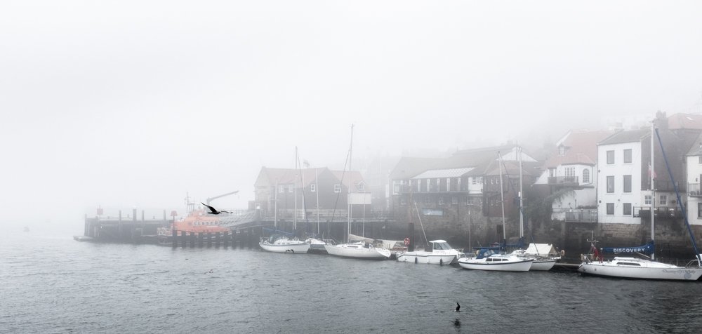 FoggyWhitby_F4485-390-1.jpg