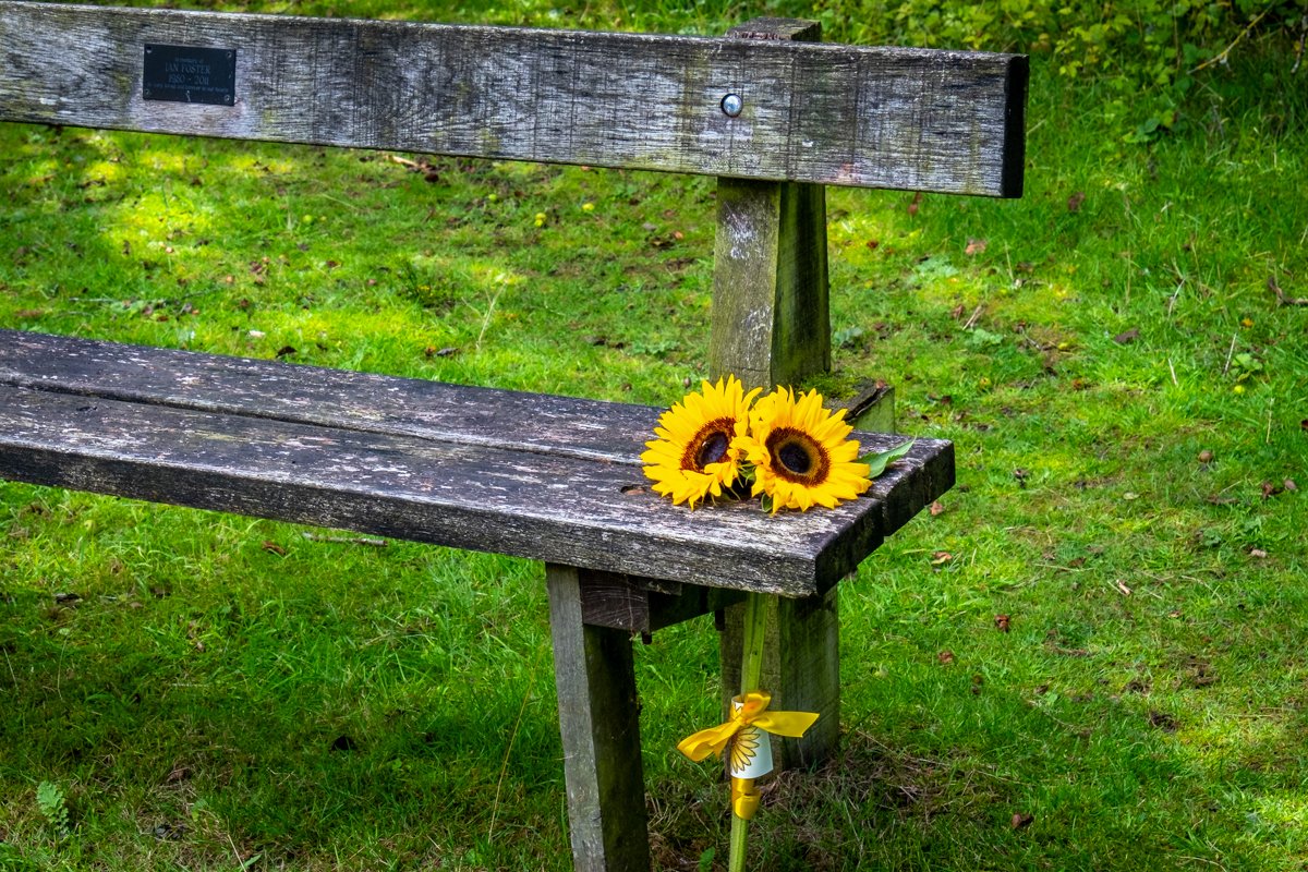 SunflowerBench_F0235-820-0235.JPG