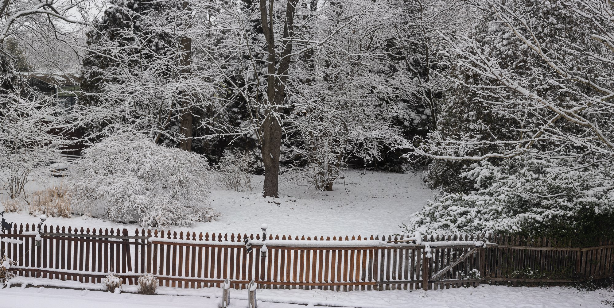 View Back yard Snow (1 of 1).jpg