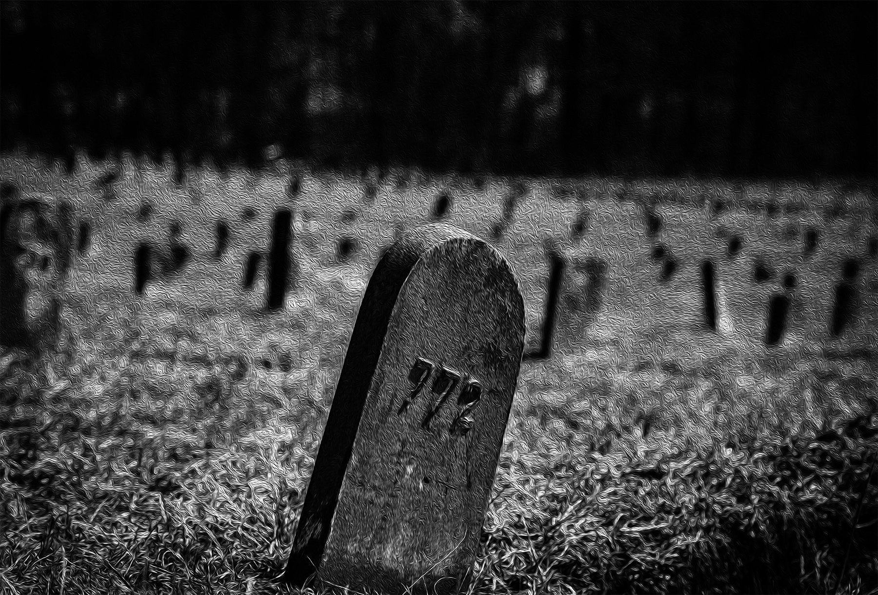 20240227 5DM31574 Marlboro Psychiatric Hospital grave 772 MWS BW Painting V2.jpg