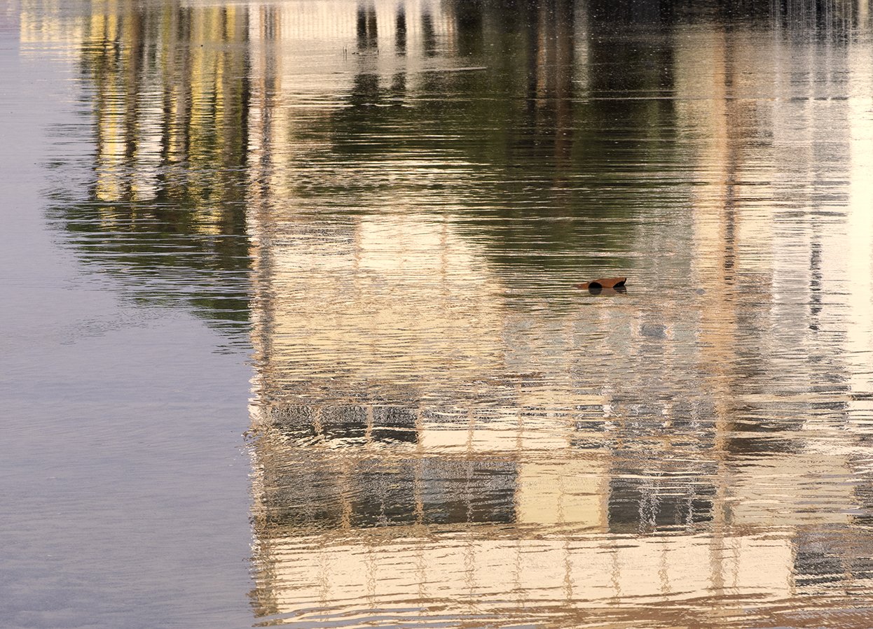 Beach reflections