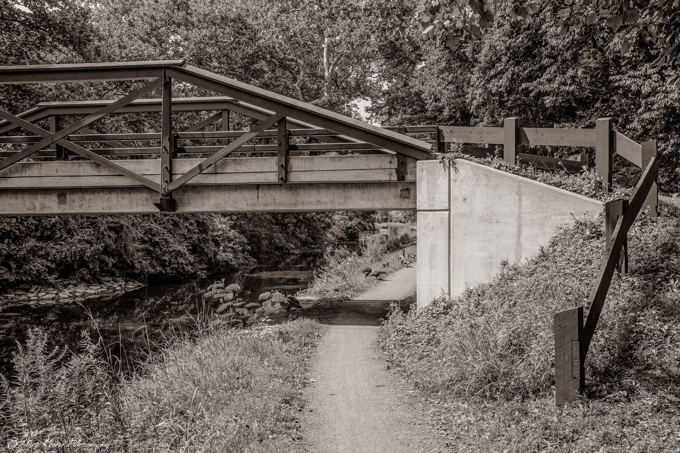 Canal Path 47402  7-28-24 bw -.jpg