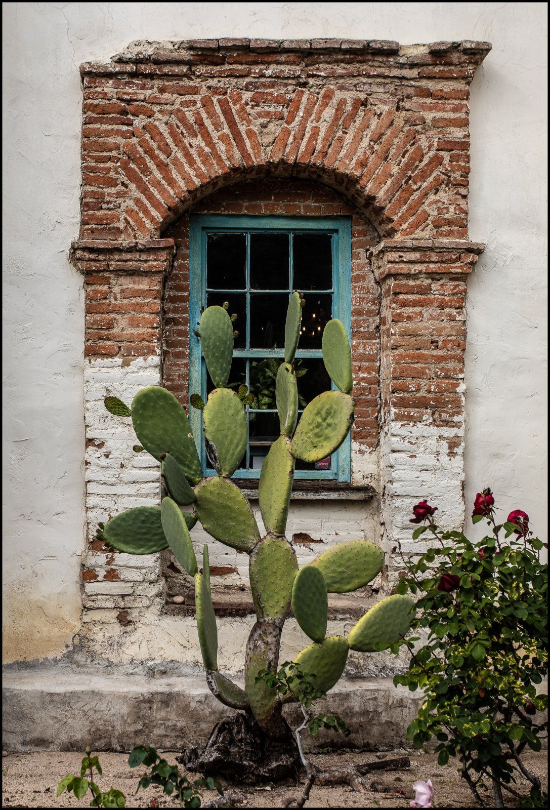 Mission Cactus Window-.jpg