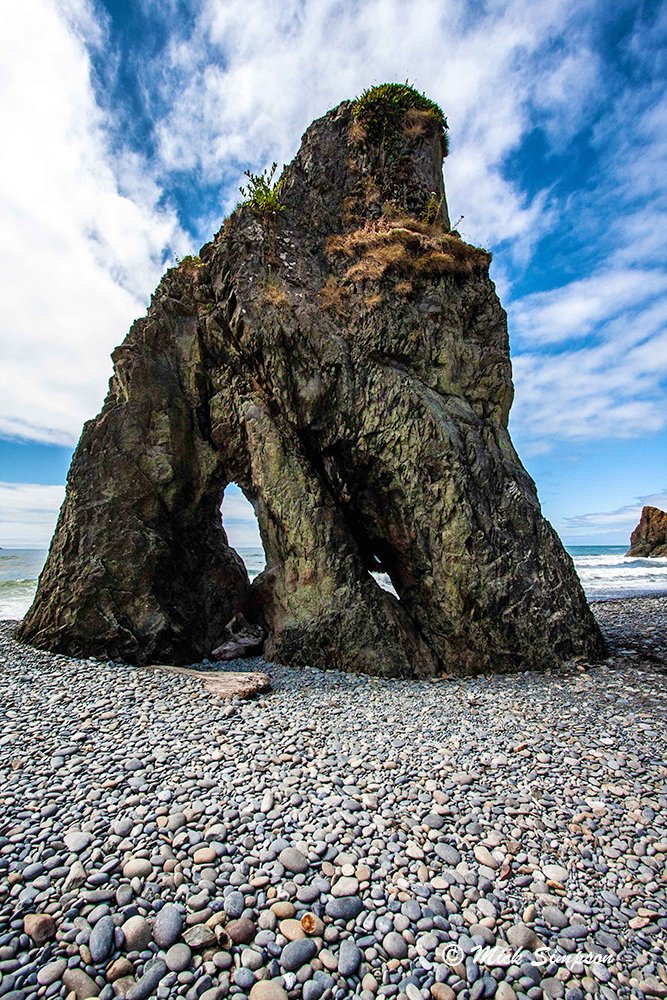 20100809 IMG_8779 Ruby Beach WA C V1.jpg