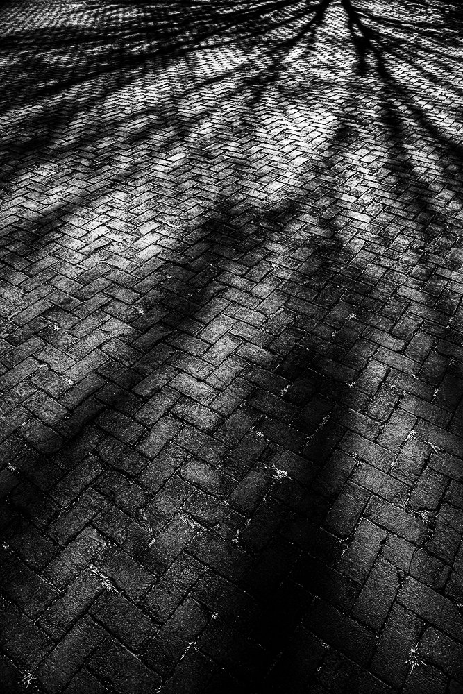 20200223 5DM35693 Monmouth Battlefield shadowed brick pavers MWS BW Crv V2.jpg