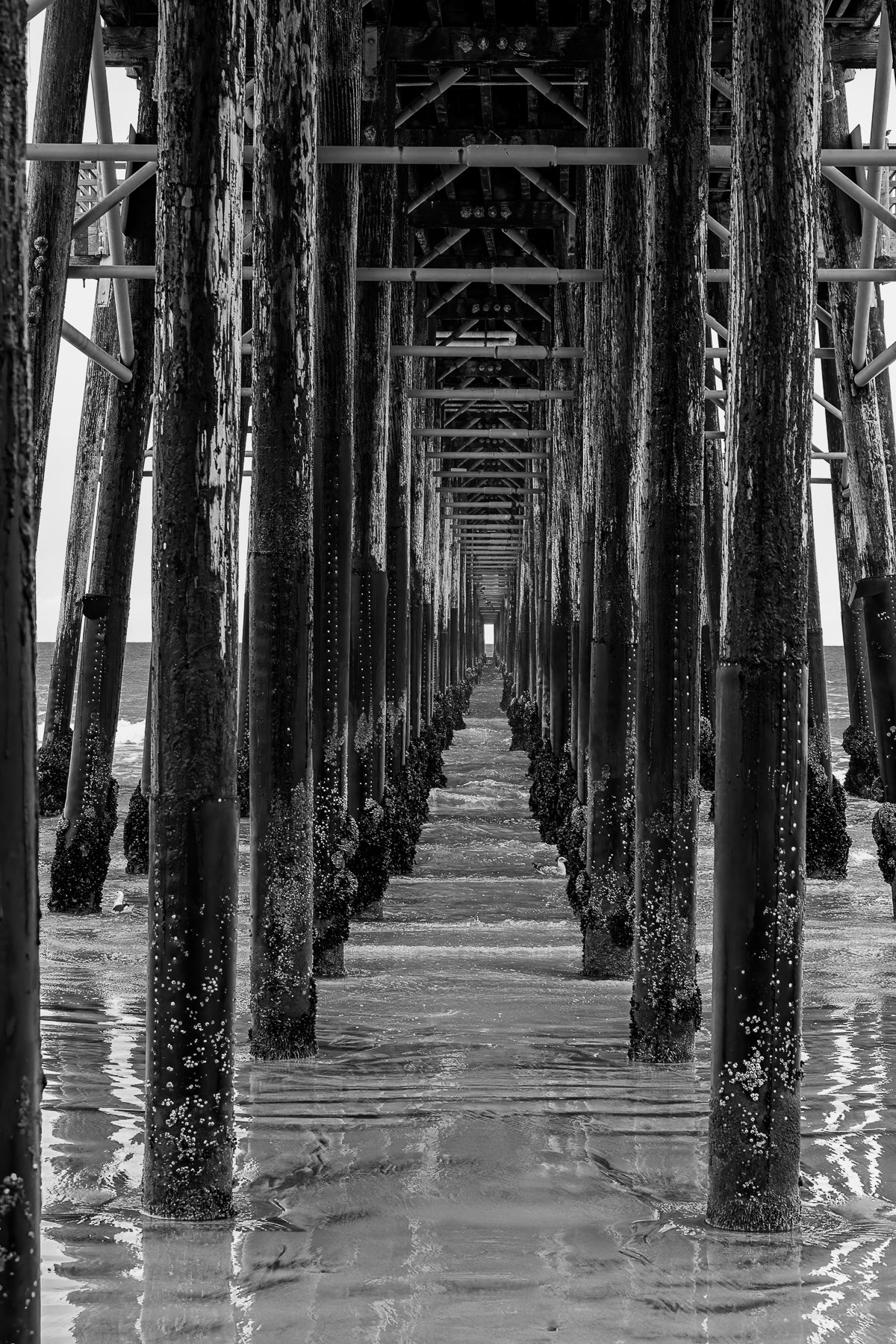 2026_01_22uncer the pier Oceanside 2560 BW-.jpg