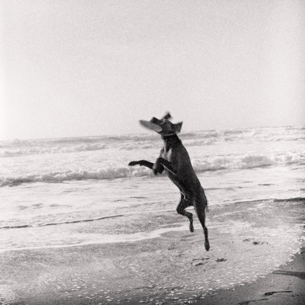 beach-frisbee.jpg