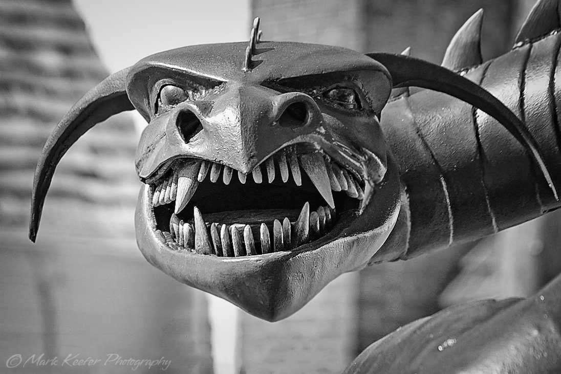 Dragon Headshot BW  2012 7D 100-400mm.jpg