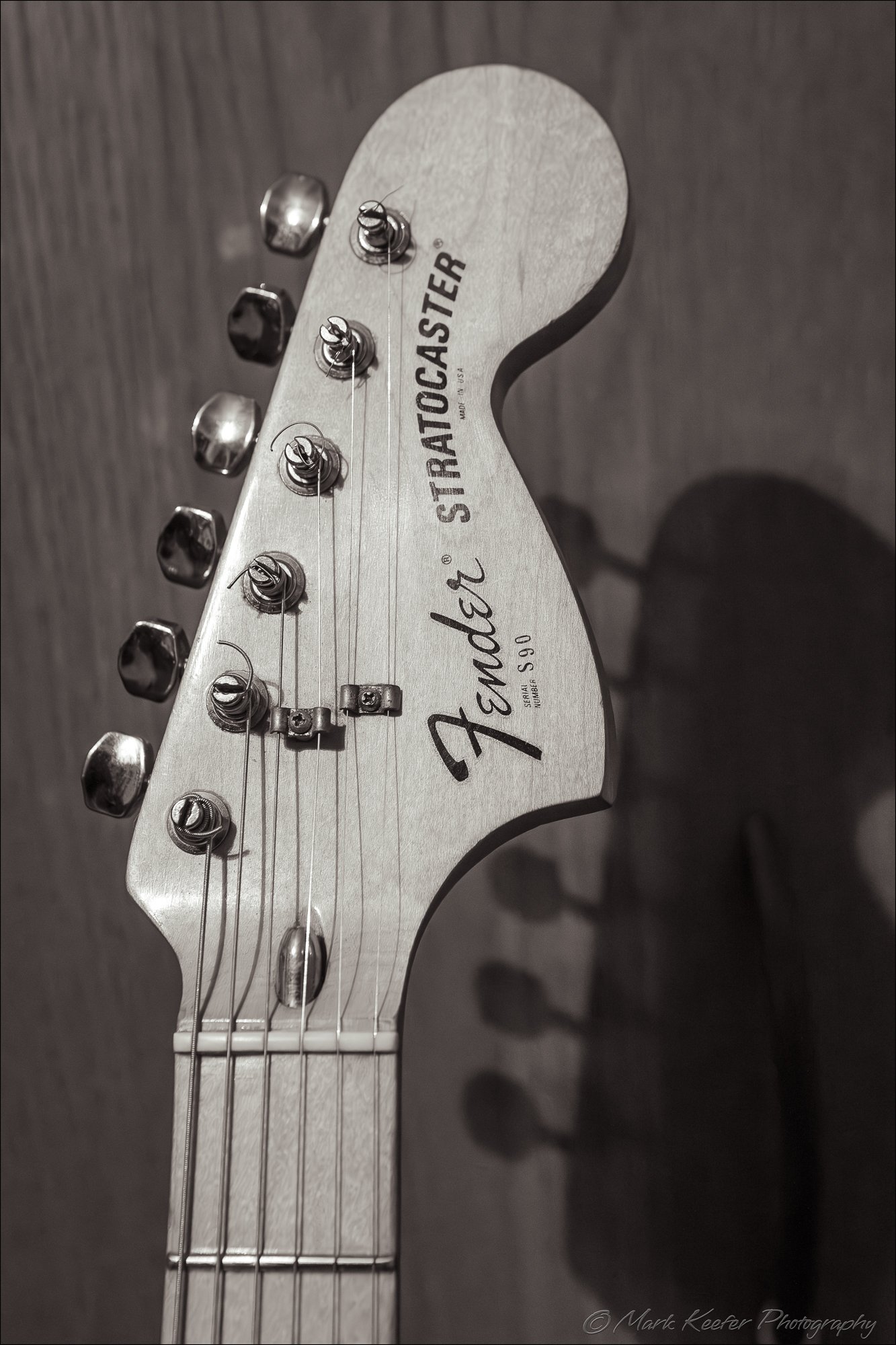 Fender Strat (1 of 1).jpg