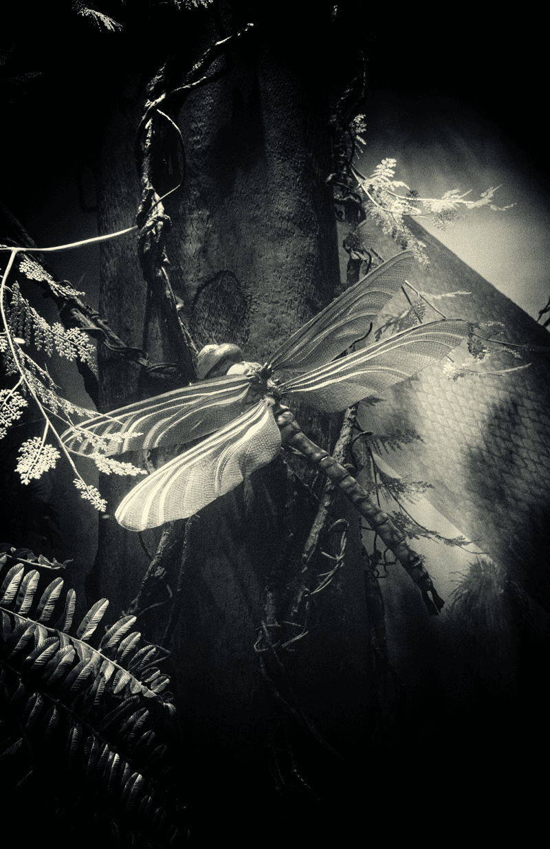 paleo-fly.png