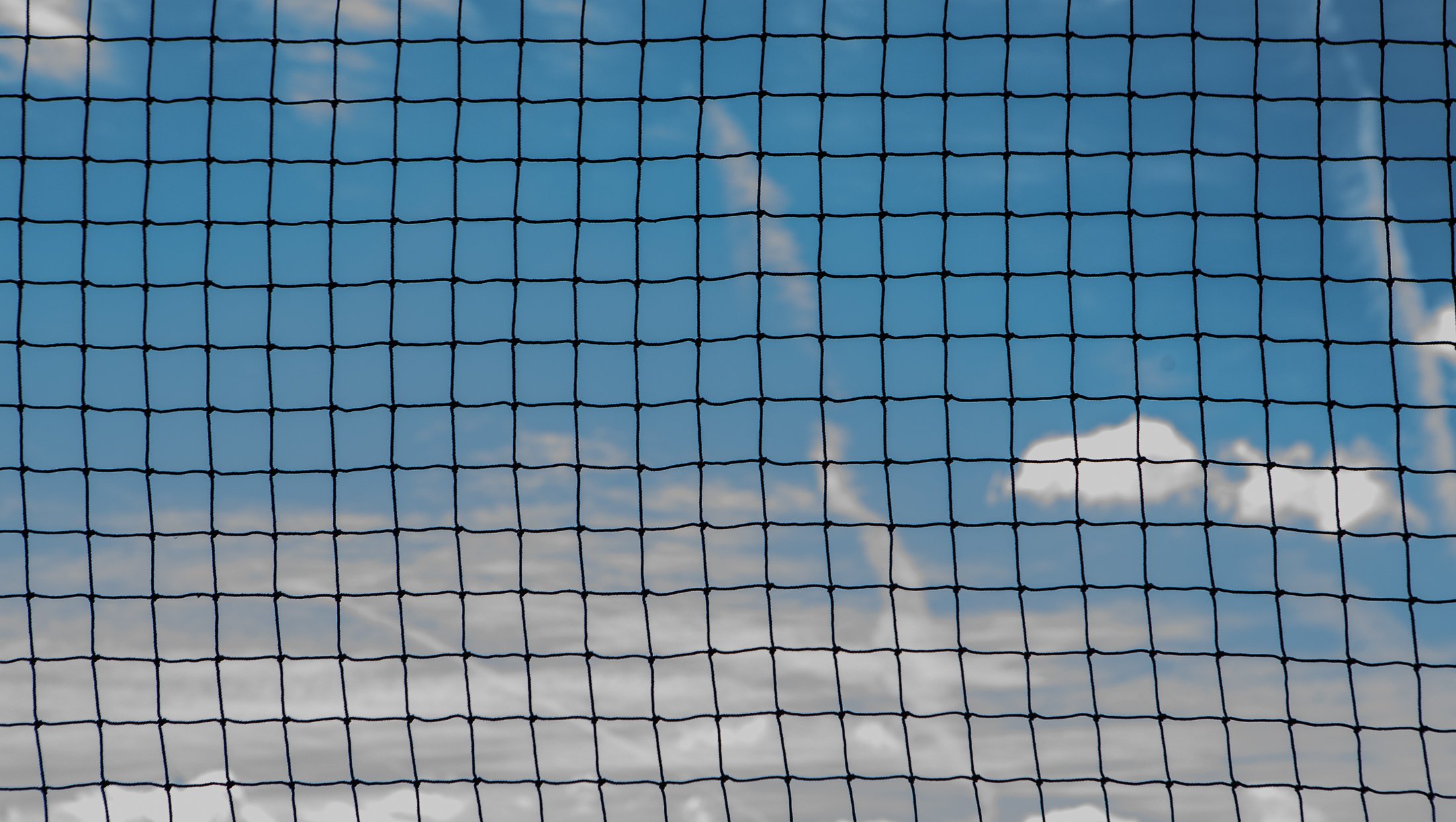 Sky through net-1.jpg