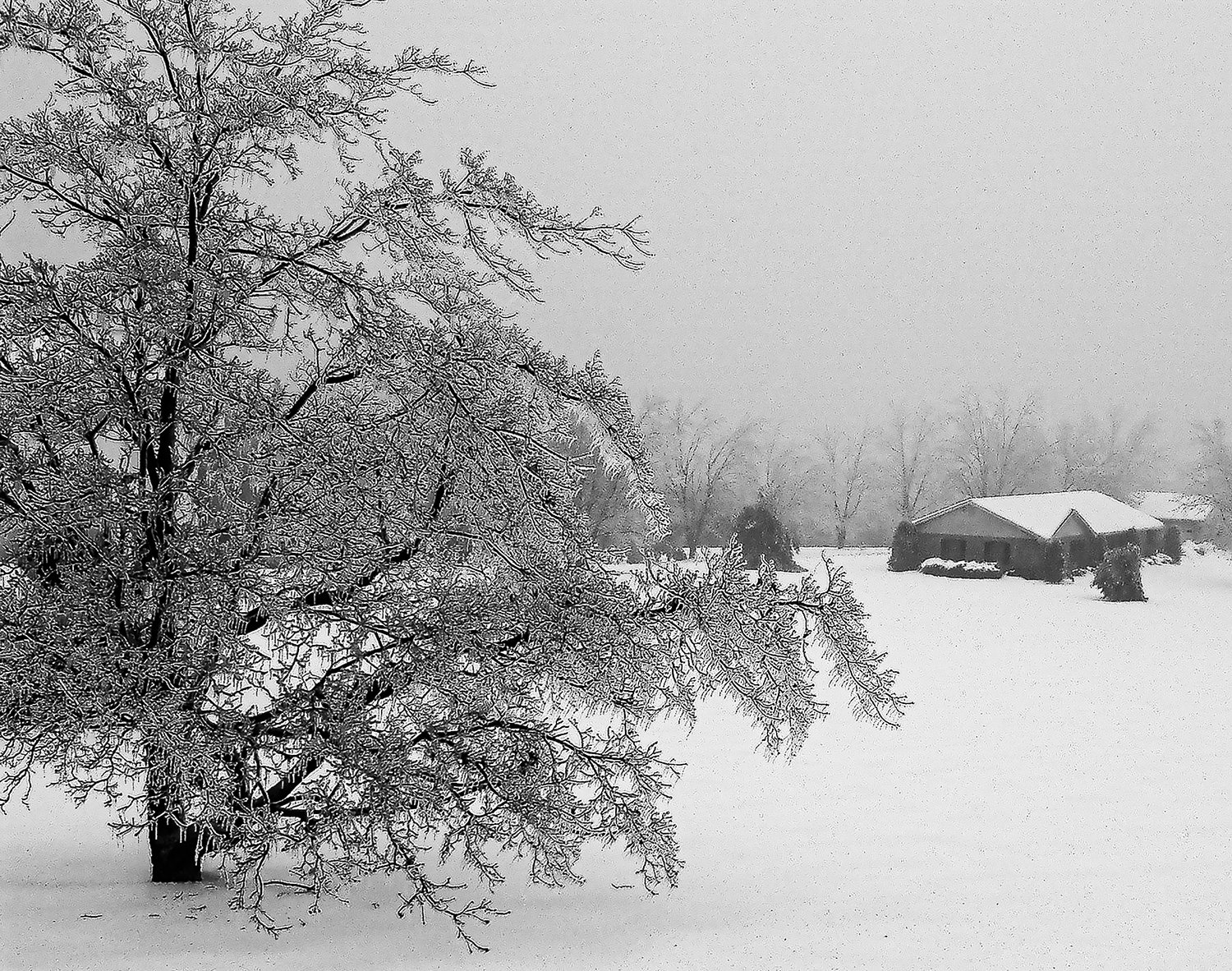 20040215 PICT0037 New York snowfall MWS BW Cr V2.jpg