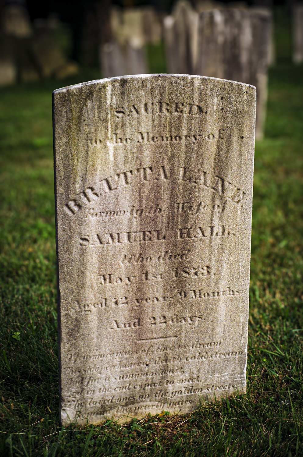 20230820 Freehold Baptist Cemetery 01 MWS C V1-Enhanced-SR.jpg