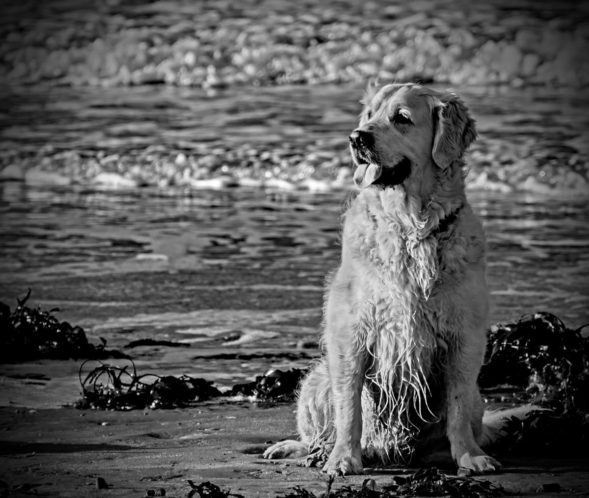 Beach time-web.jpg