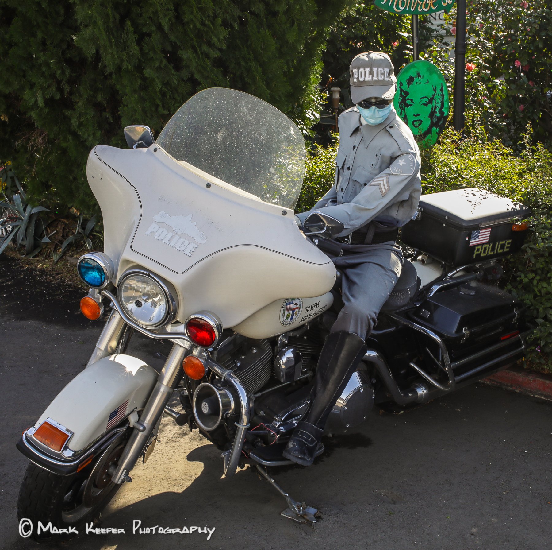 Betsy and Sparks Below  Malibu -42132.jpg