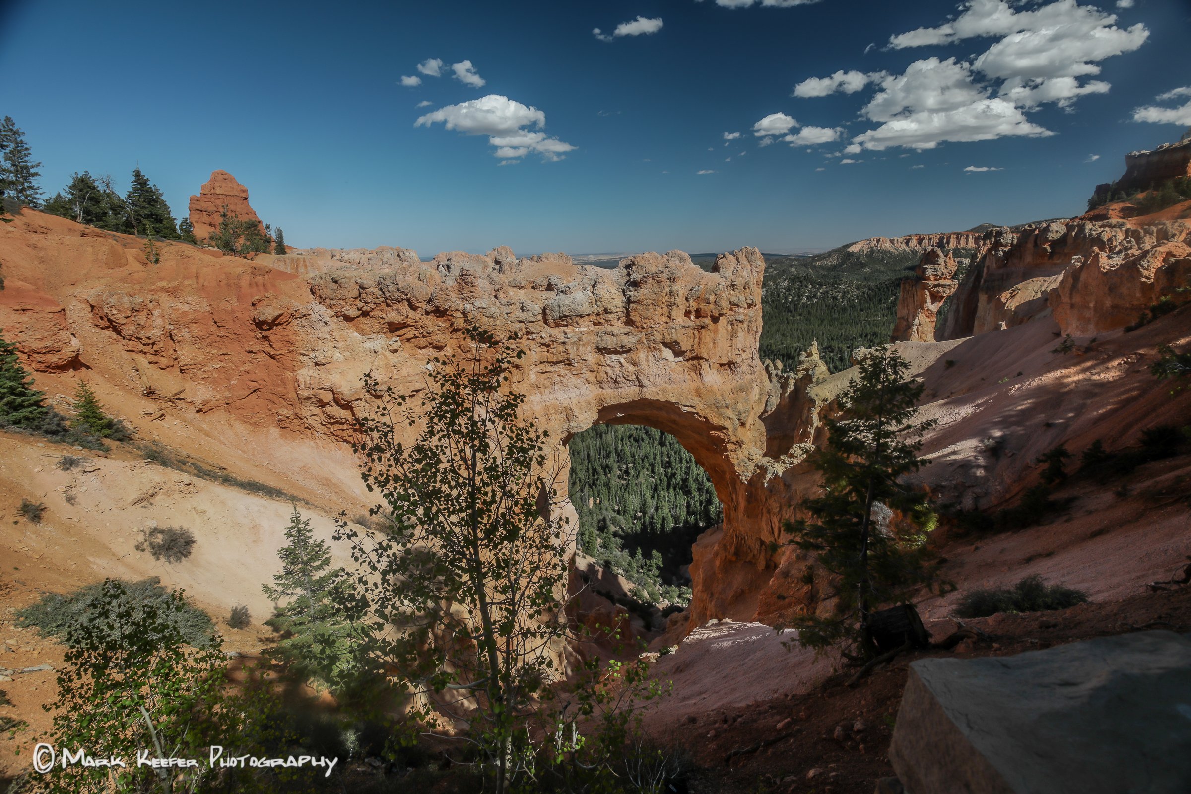 Bryce Canyon  x2400 -46784.jpg