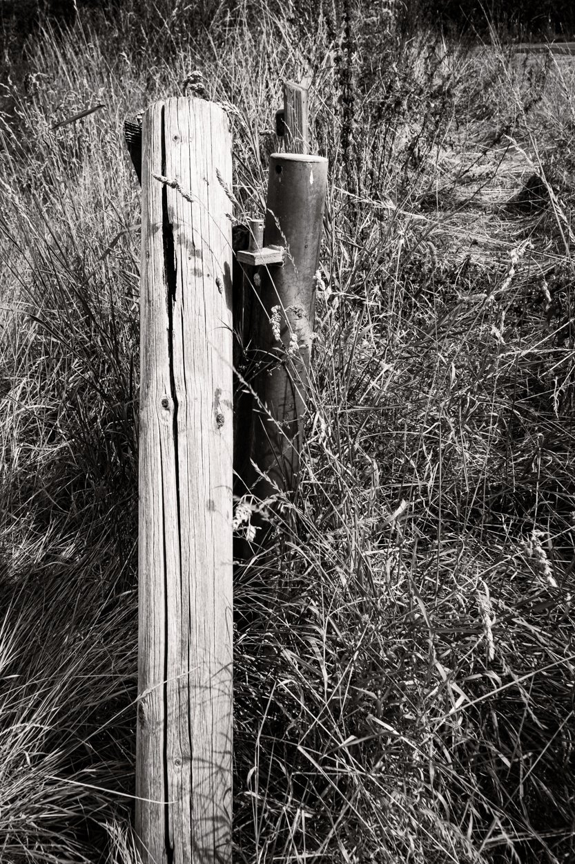 FencePost_F4636-881.JPG