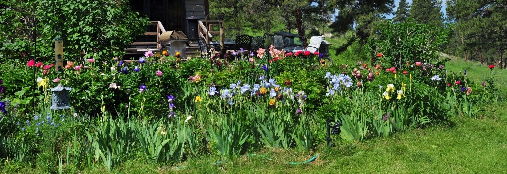 Garden Stitched Pano