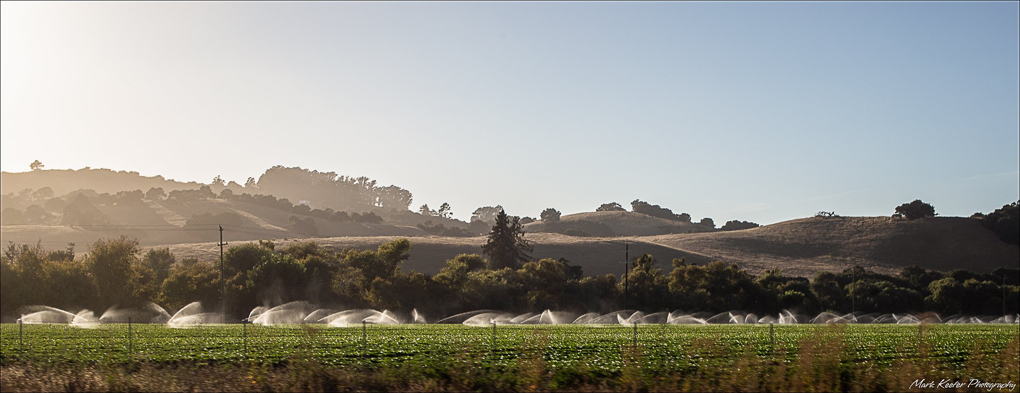 salinas farm fields irrigation 41058 (1 of 1).jpg FotoFora