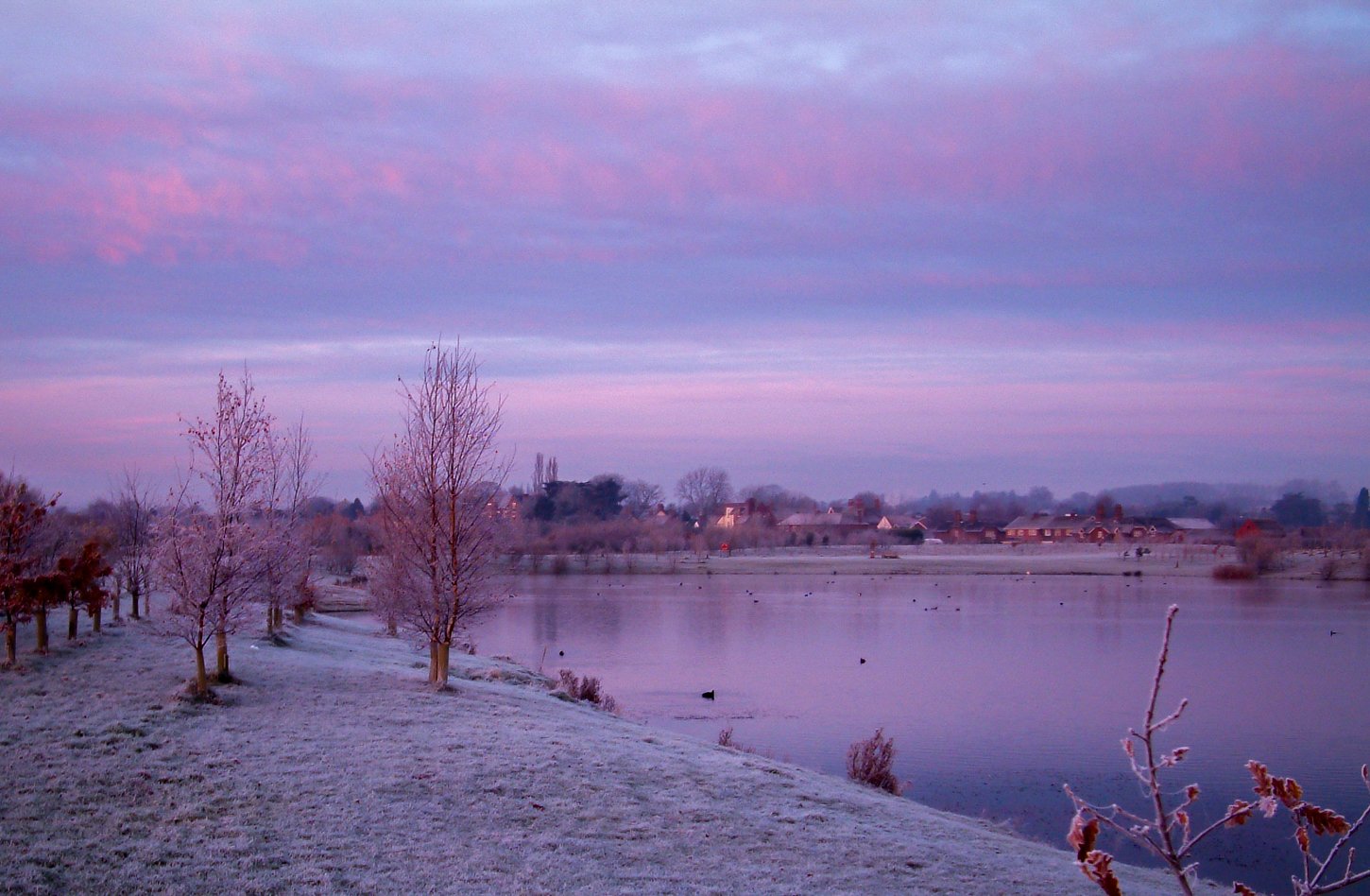 WinterMorning_F0006-070.JPG